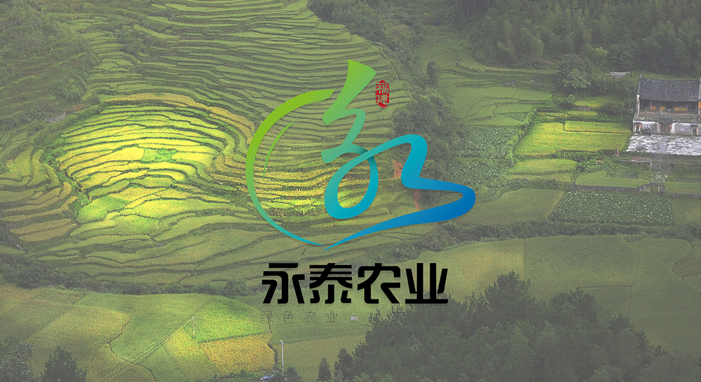 设计驱动创新：工业设计如何赋能制造业转型升级